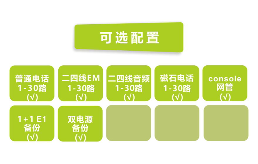 HJCA16海角官网科技-1+1 E1备份 30路纯电话 E1 PCM复用